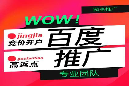 百度竞价推广的ROI优化策略：一则案例分析